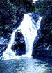 Dinner Waterfalls, Atherton Tablelands