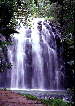 Ellinjaa Waterfalls, Atherton Tablelands
