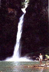 Nandroya Falls.jpg (8241 bytes)