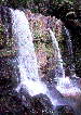 Zillie Waterfalls, Atherton Tableland